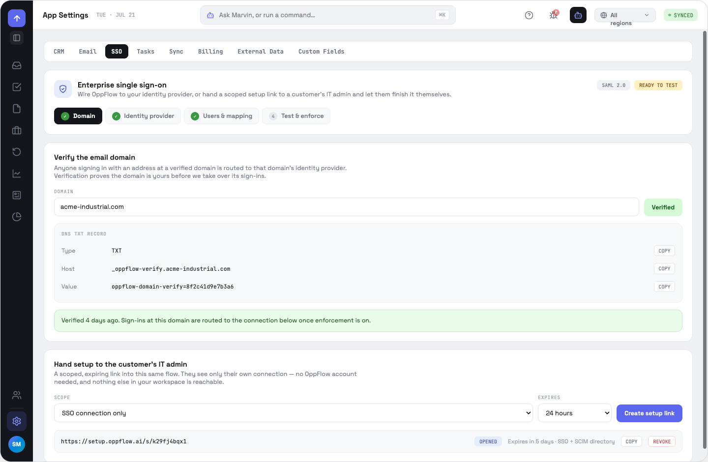 SSO setup: domain verification with DNS TXT record rows and the setup-link panel