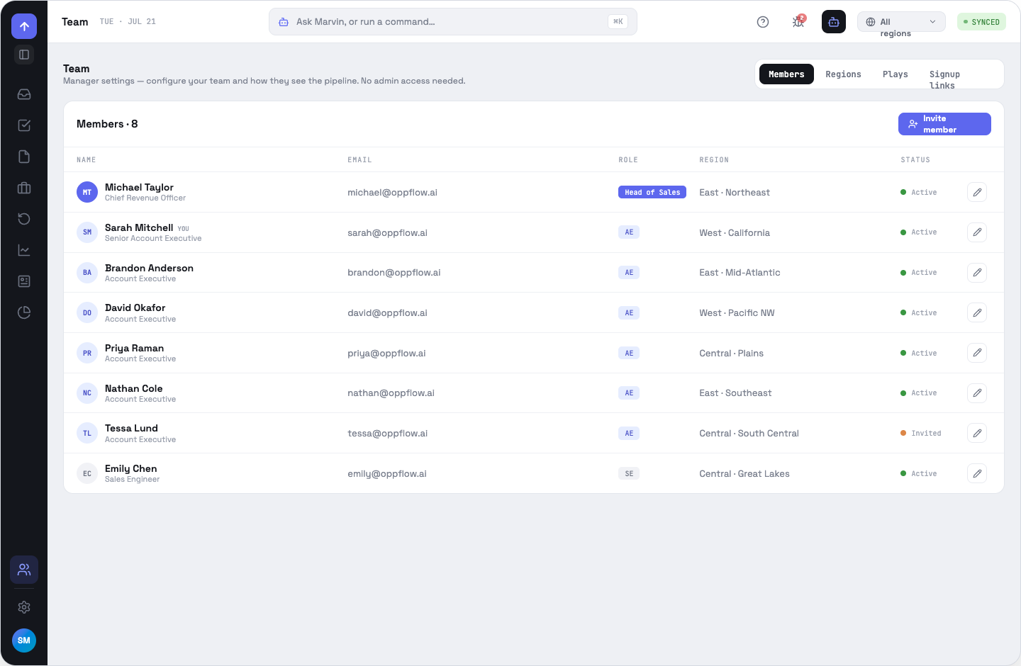 Team Members roster with role pills, job titles, regions and status